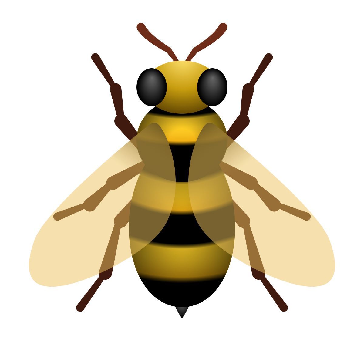 曲库在线SonicBox
